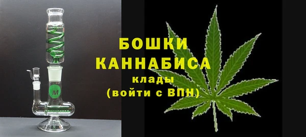 СК Касимов