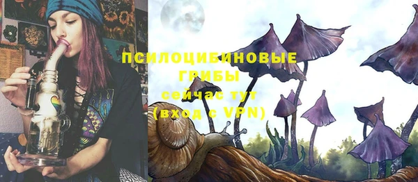 СК Касимов